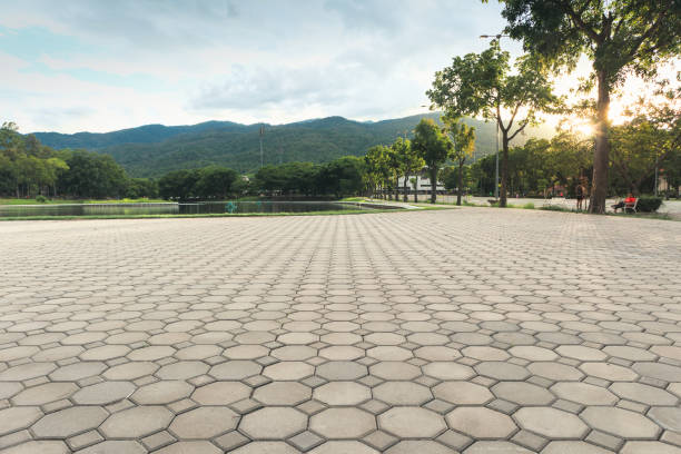 Best Decorative Driveway Pavers  in Wixom, MI